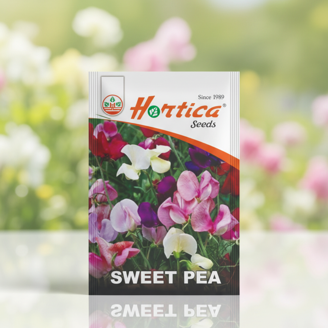 Sweet Pea