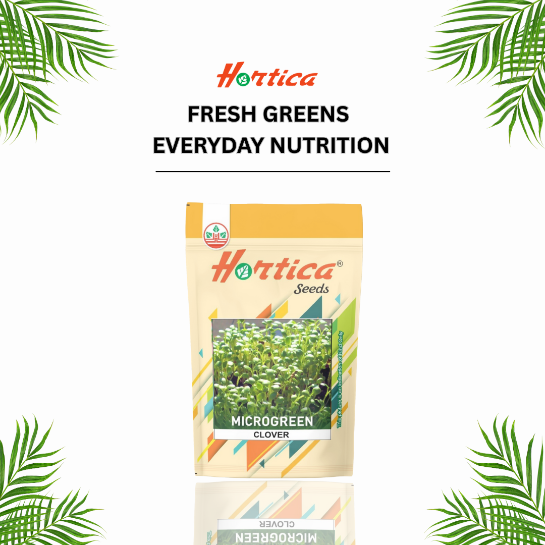 Microgreen Clover