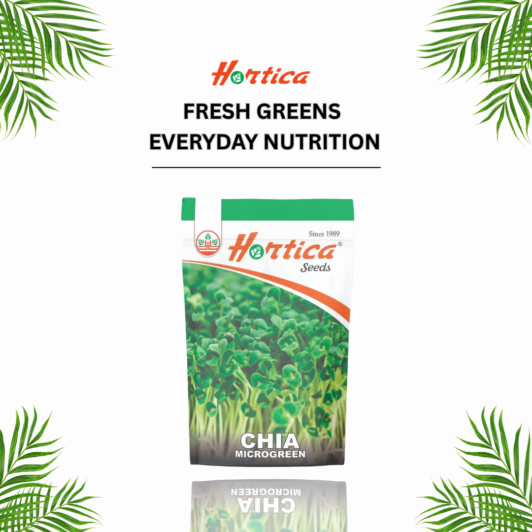 Microgreen Chia