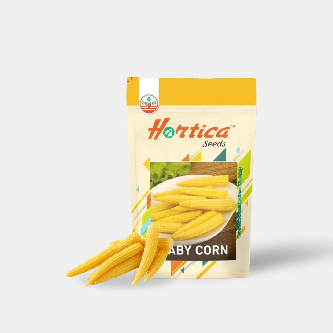Baby Corn