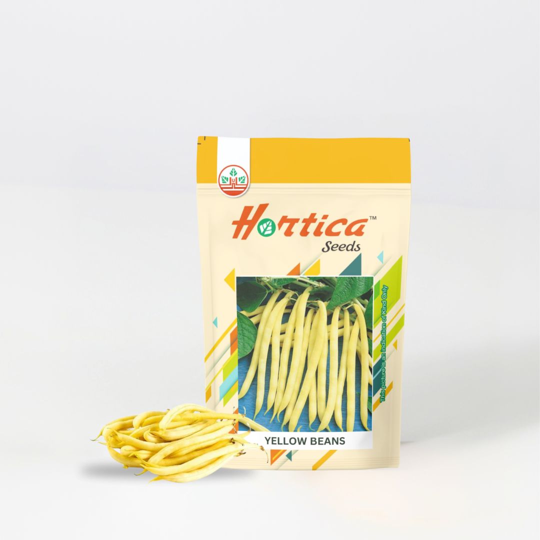 French Beans Yellow