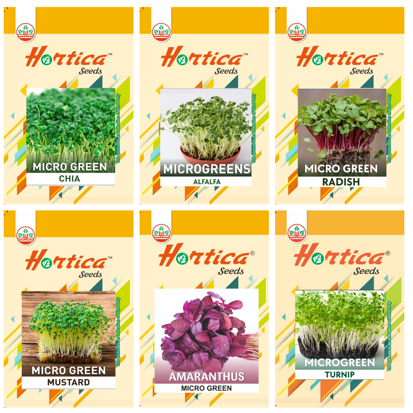 Microgreen Seeds Pack of 6 (Alfalfa, Turnip, Chia, Mustard, Radish, Amaranthus Red)