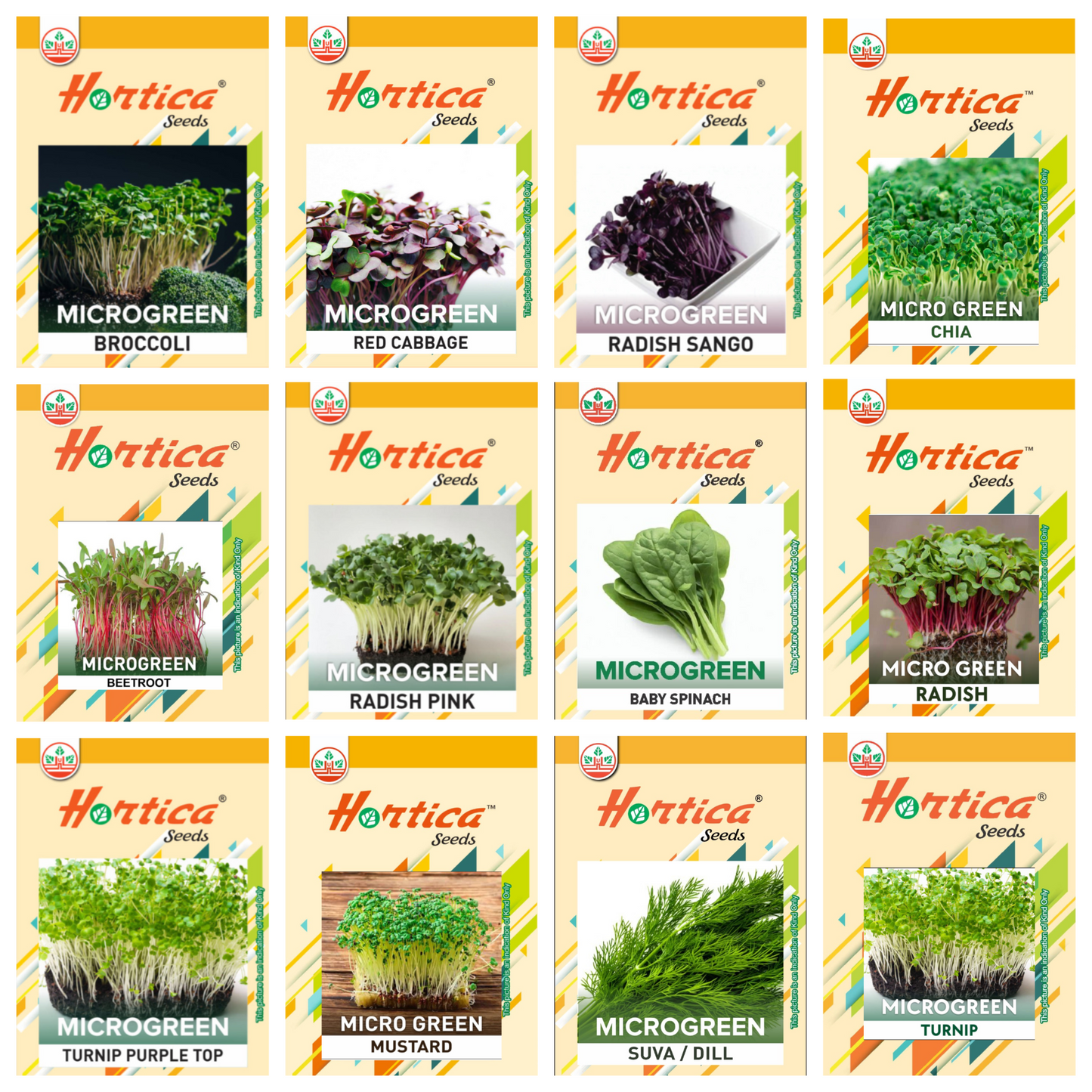 Microgreen Seeds | PREMIUM EXOTIC Varieties | Combo Pack of 12 Varieties - 25gm Each (300gm seeds)