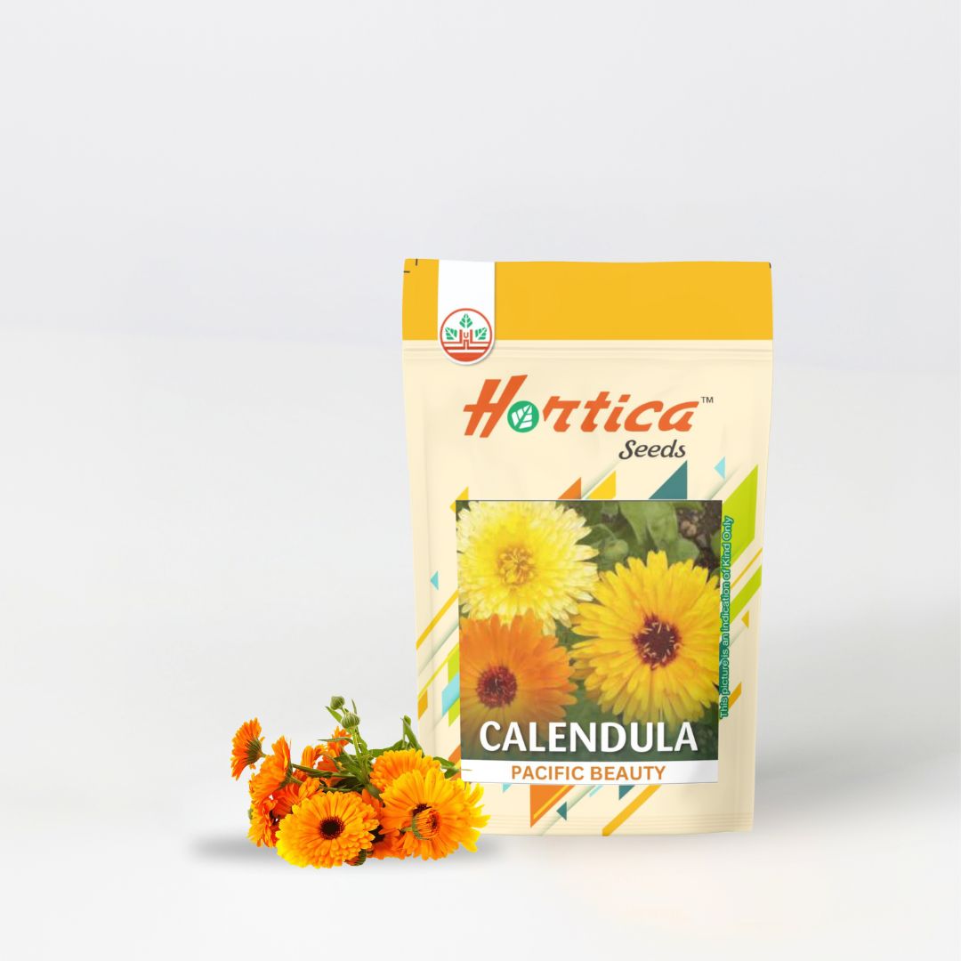 Calendula Pacific Beauty
