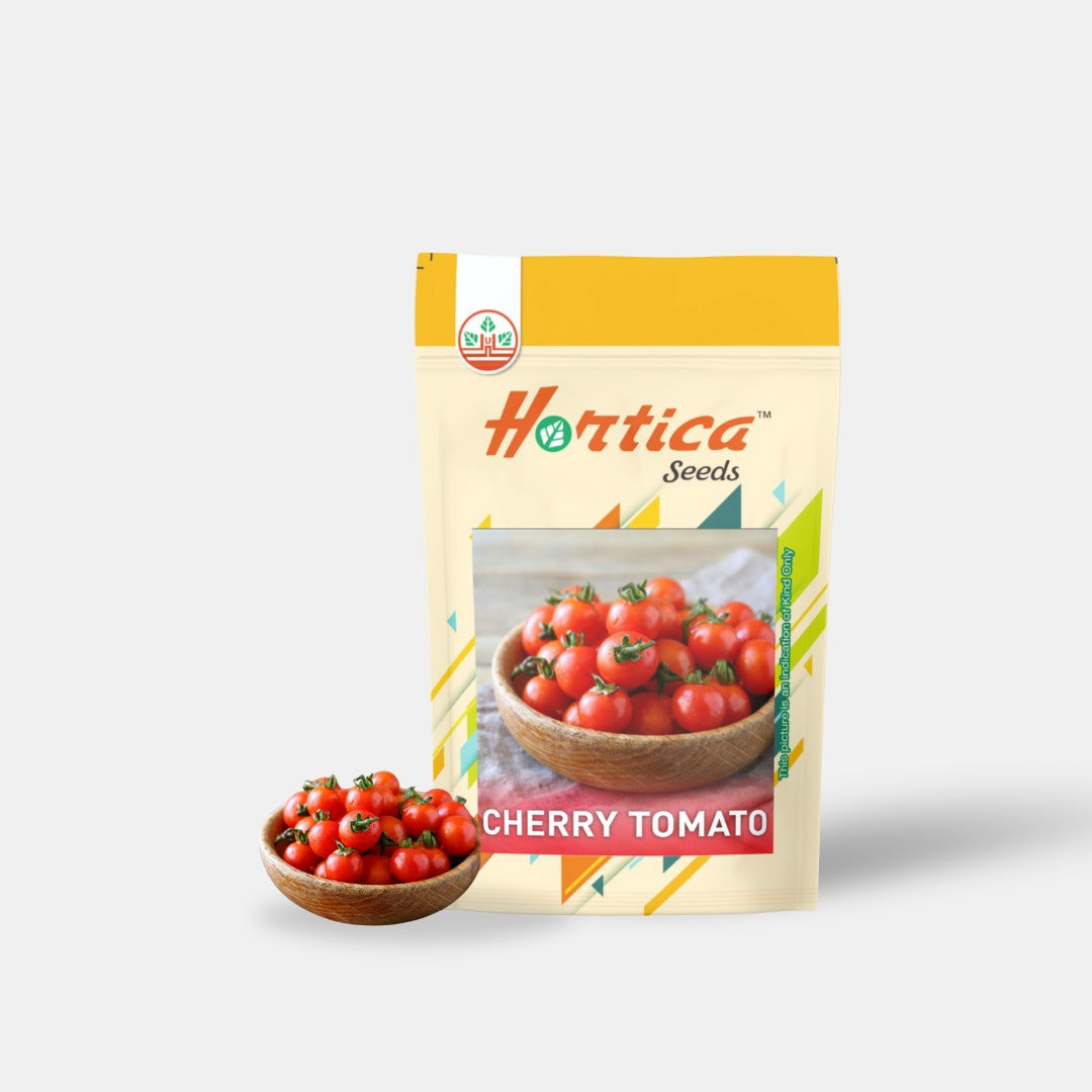 Cherry Tomato