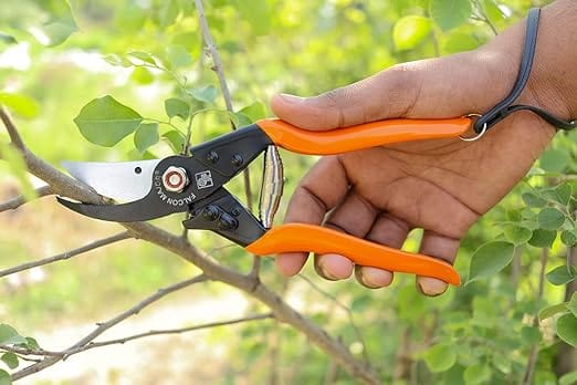Falcon Pruning Secateur (Major)