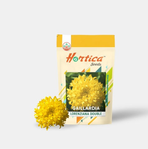 Gaillardia Lorenziana Double Yellow