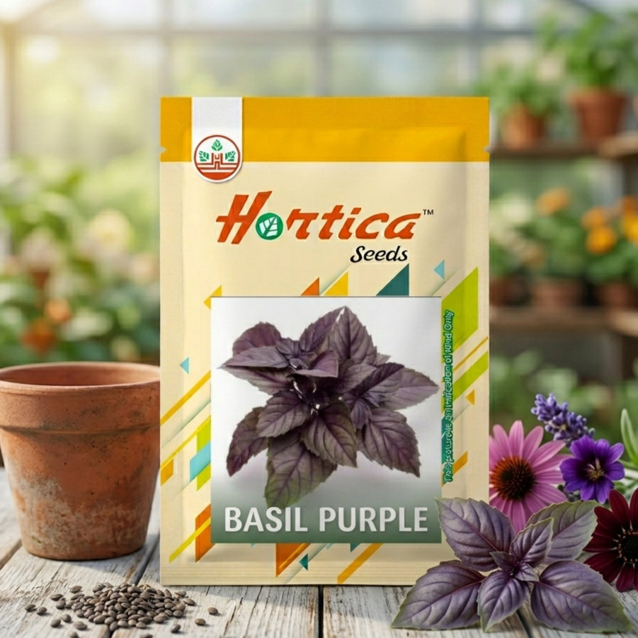 Basil Purple Seeds