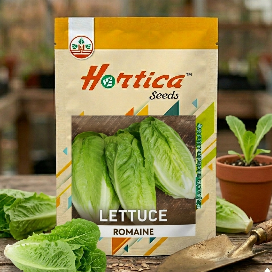 Lettuce Romaine Seeds