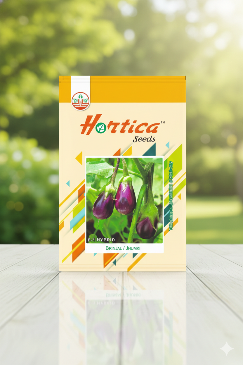 Brinjal Purple Round