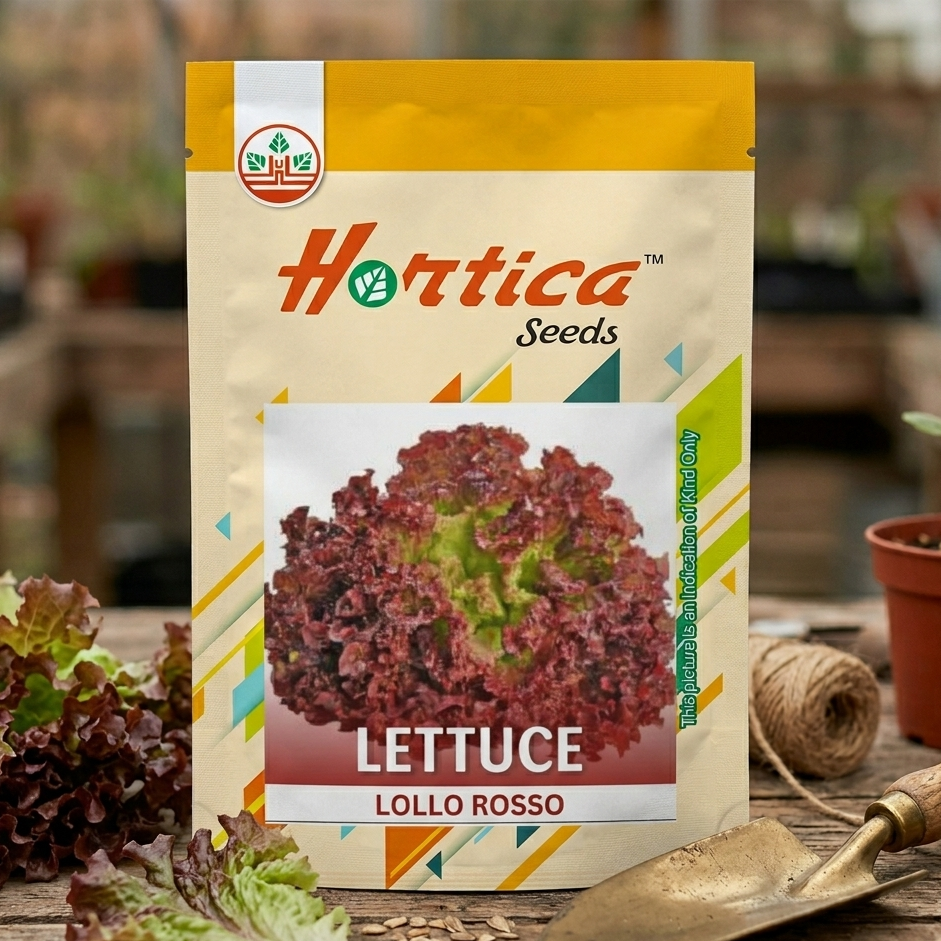 Lettuce Lollo Rosso Seeds