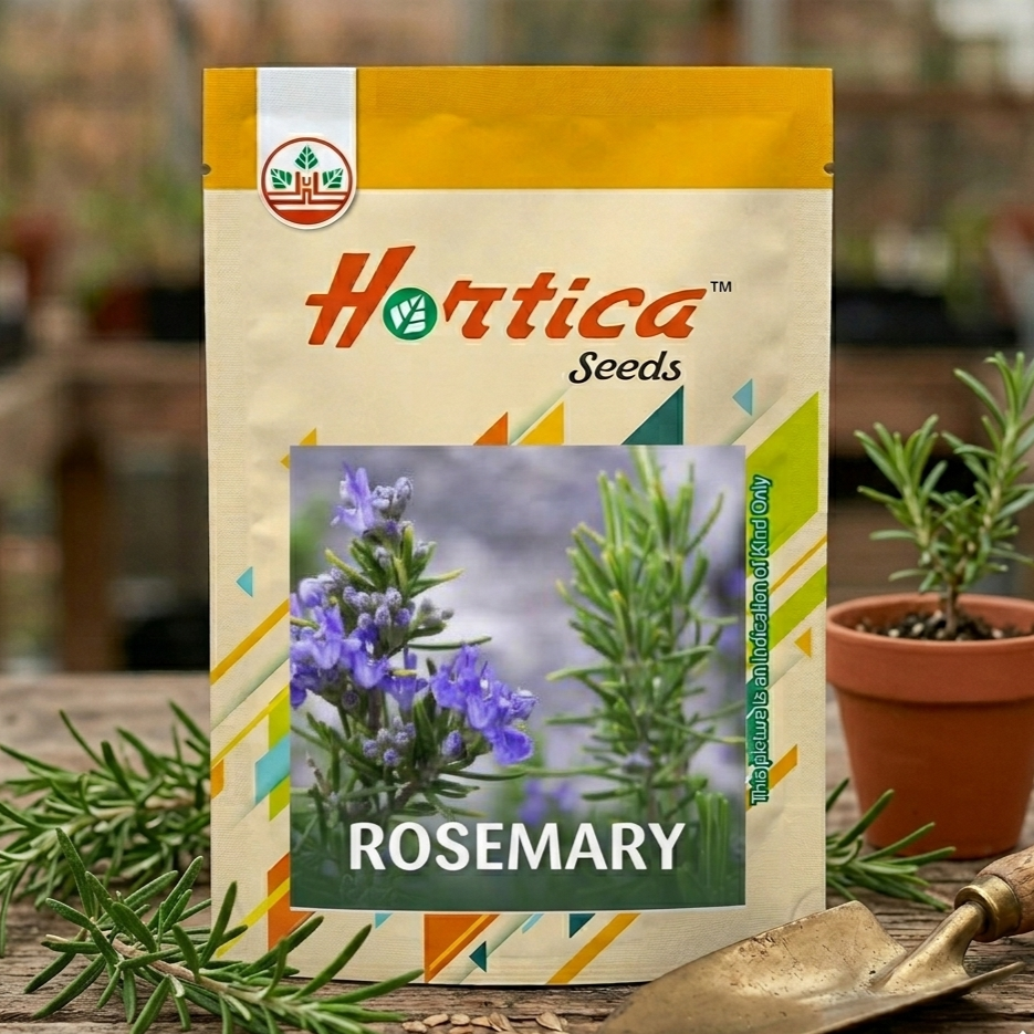 Rosemary Seeds