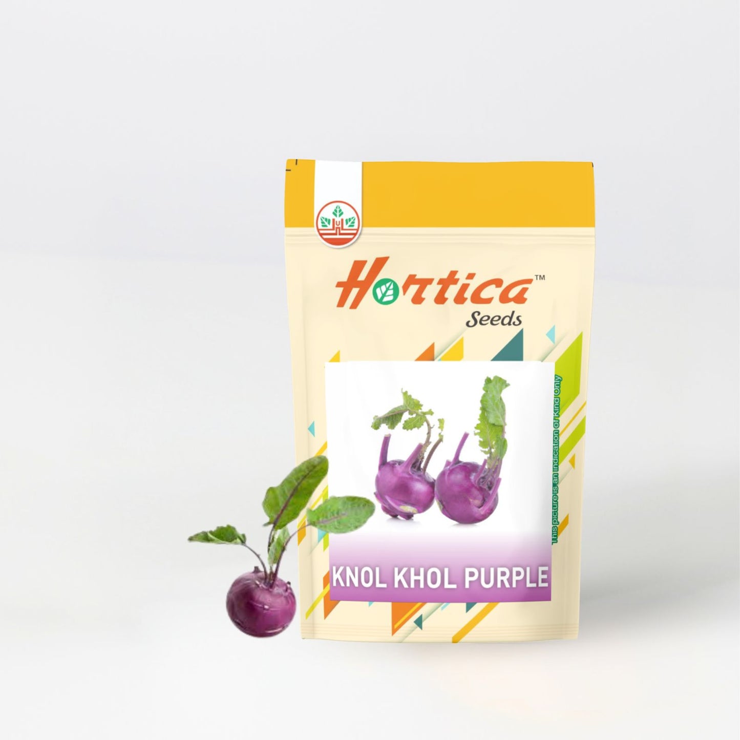 Knol Khol Purple