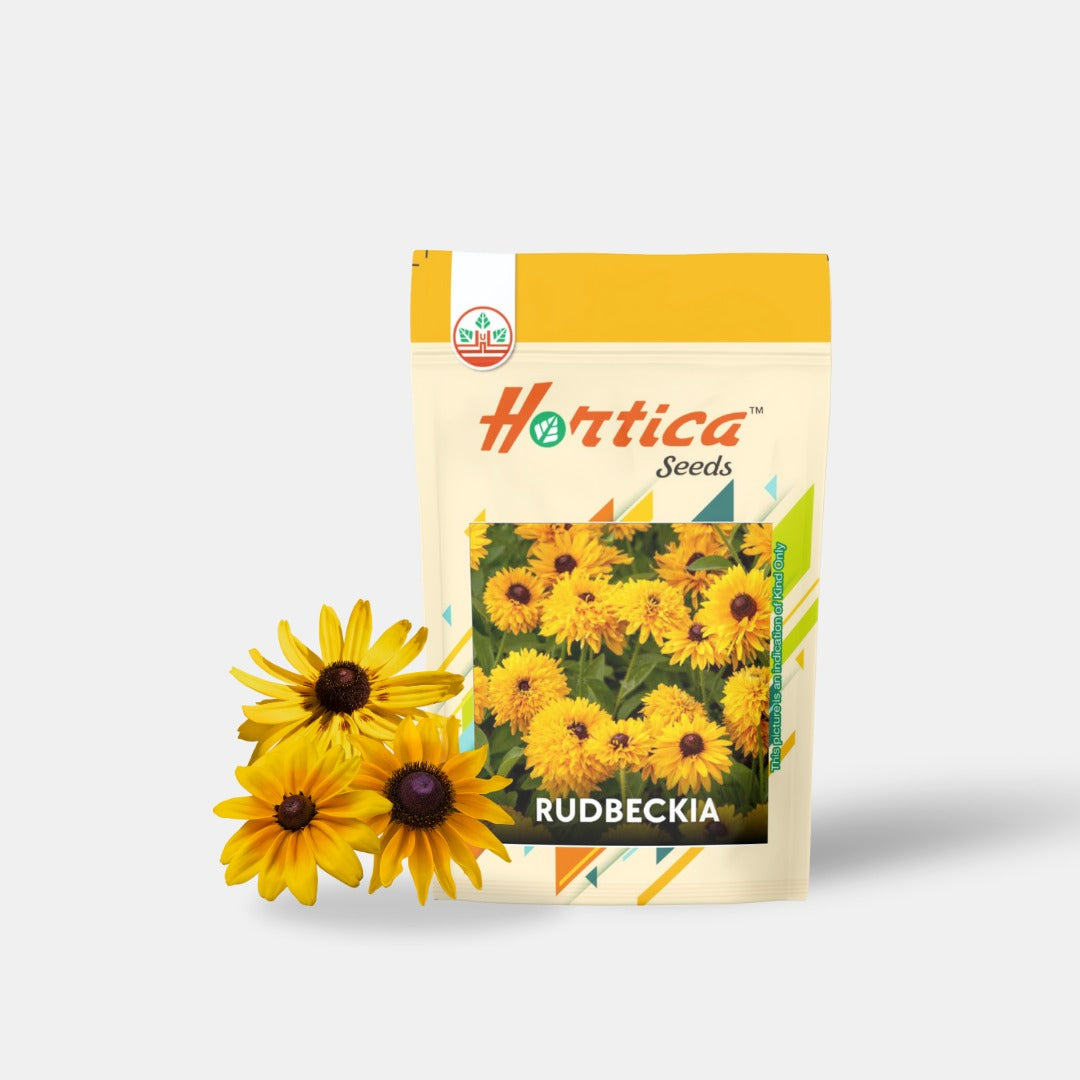 Rudbeckia