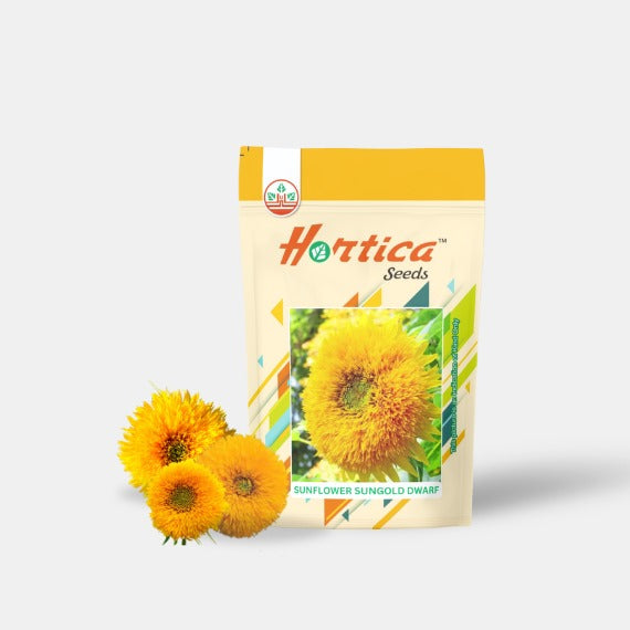 Sunflower Sungold