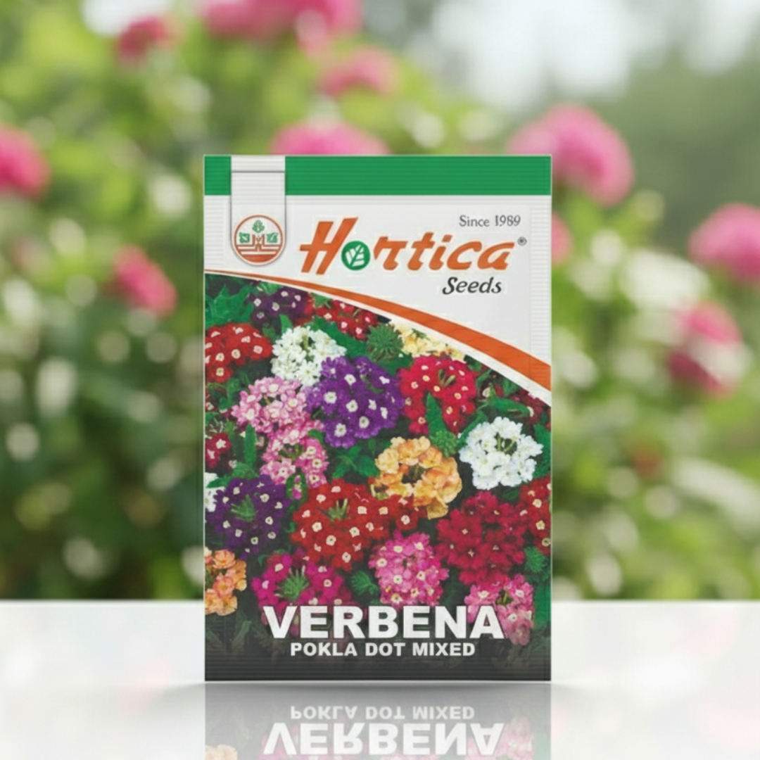 Verbena Polka Dot Mixed