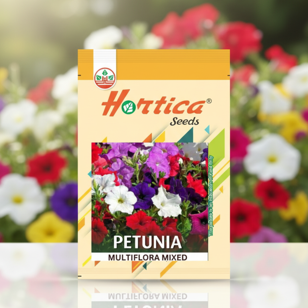 Petunia Multiflora Mixed