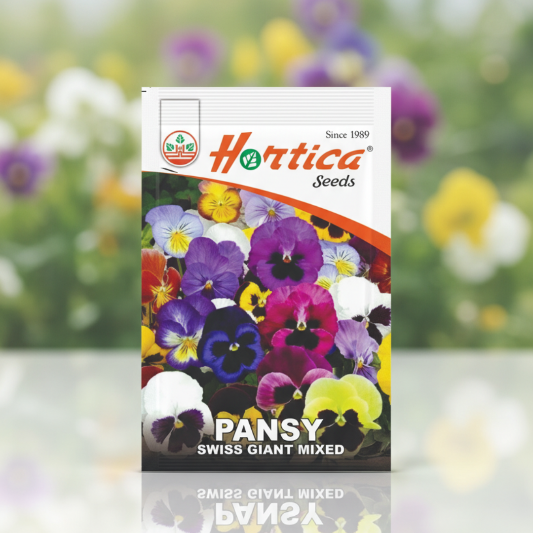 Pansy Swiss Giant Mixed