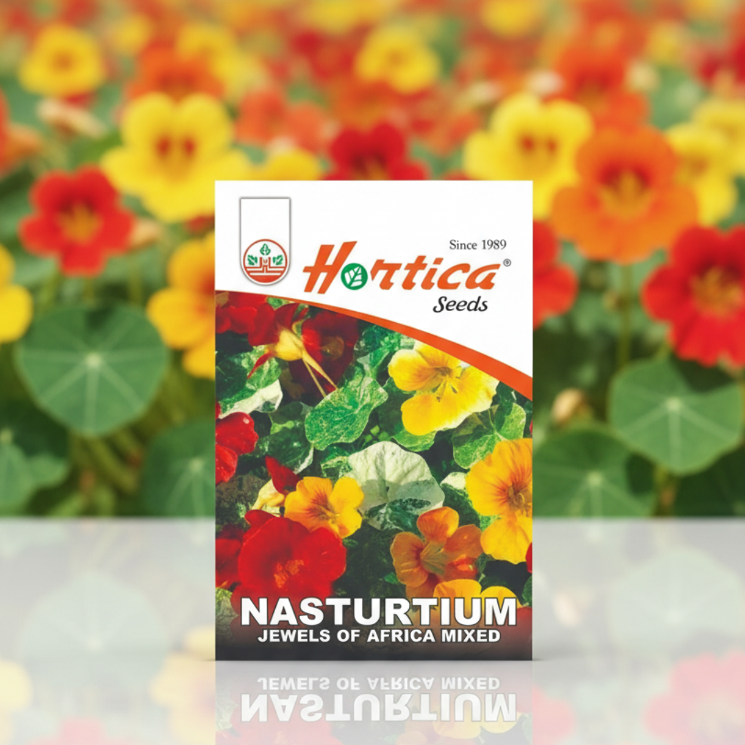 Nasturtium Jewels of Africa Mix