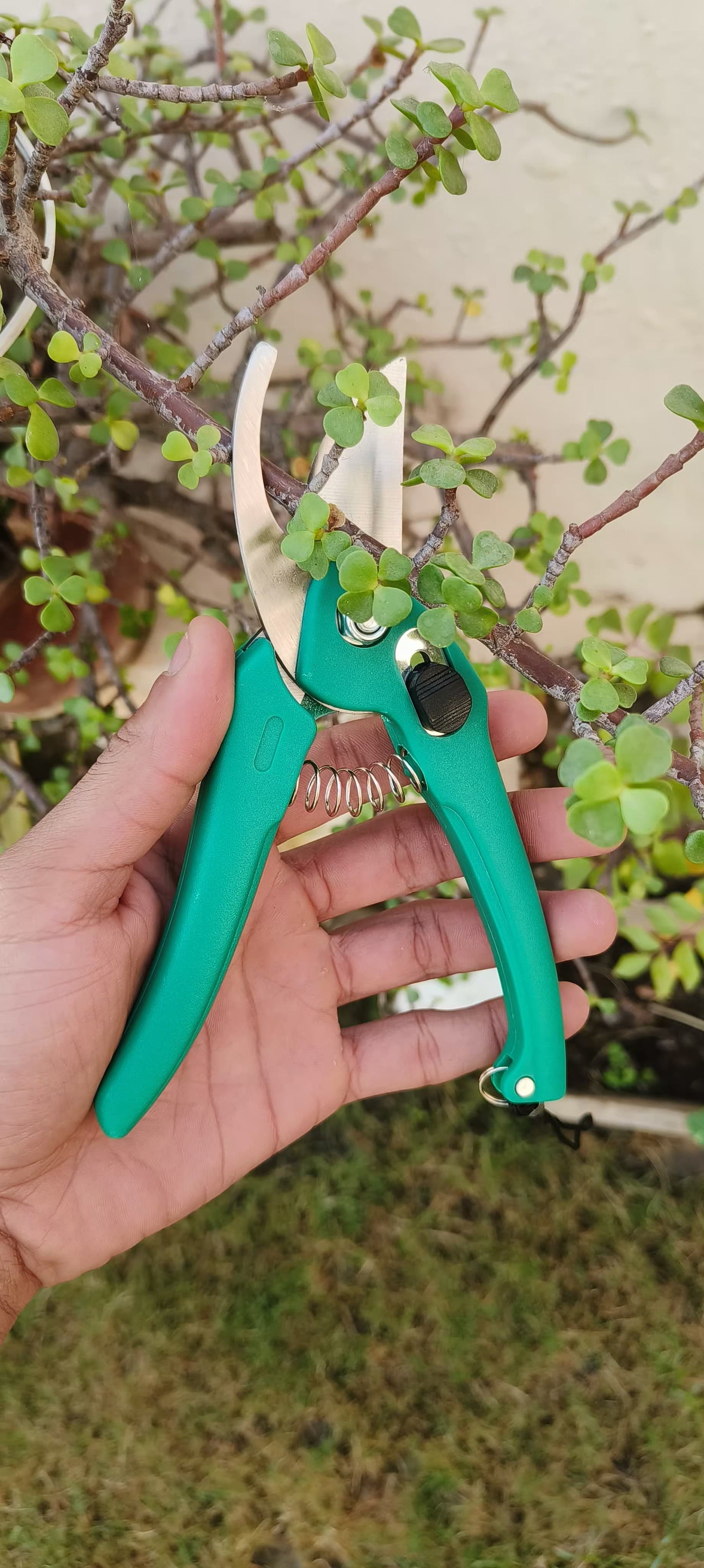 Flower Pruner