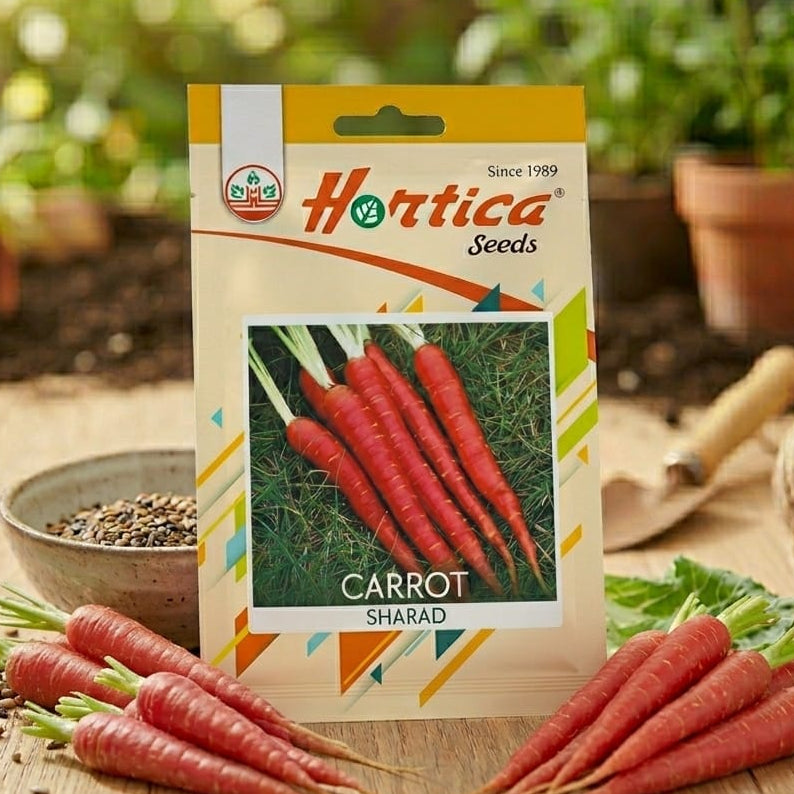 Carrot Red