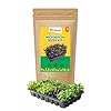 Microgreen Seeds Kit | Pack of 10 Varieties - 10,000+ seeds