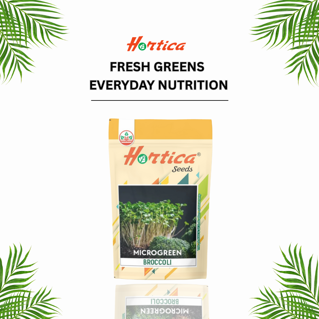 Microgreen Broccoli