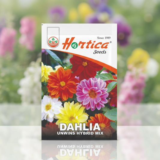 Dahlia Unwins Hybrid Mix
