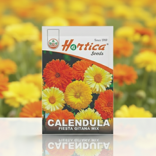 Calendula Fiesta Gitana Dwarf