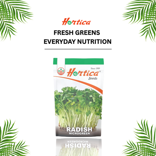 Microgreen Radish