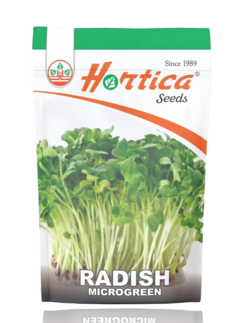 Microgreen Radish