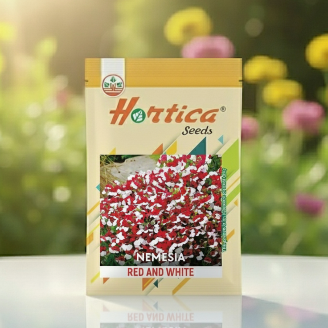 Nemesia Red & White