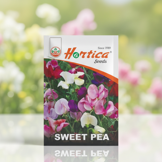 Sweet Pea