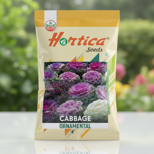 Ornamental Cabbage
