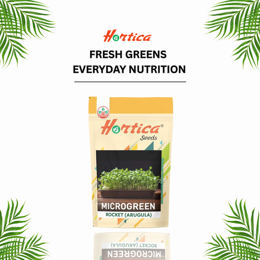 Microgreen Rocket (Arugula)