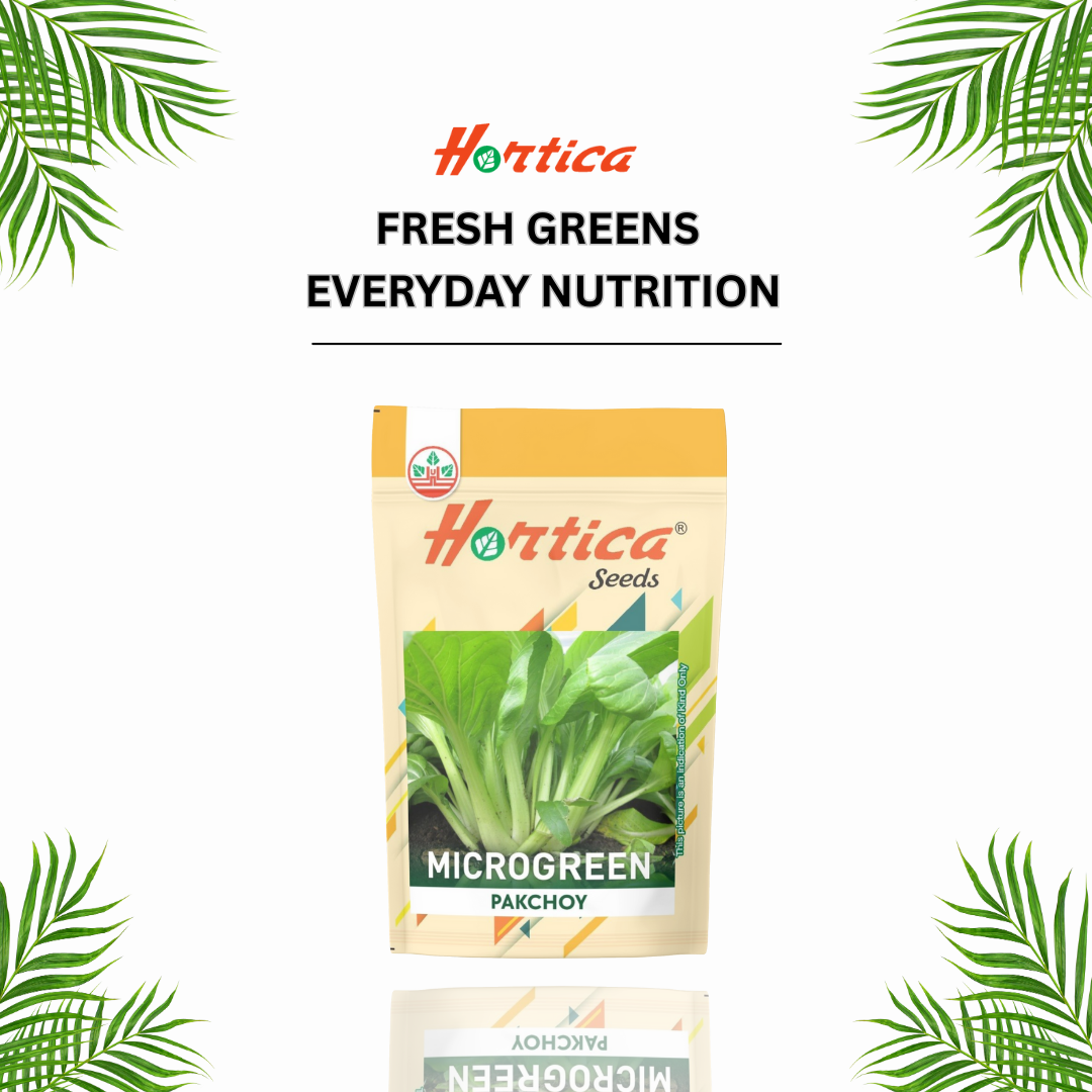 Microgreen Pakchoy