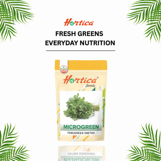 microgreen Fenugreek (Methi)