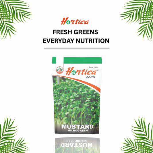 Microgreen Mustard