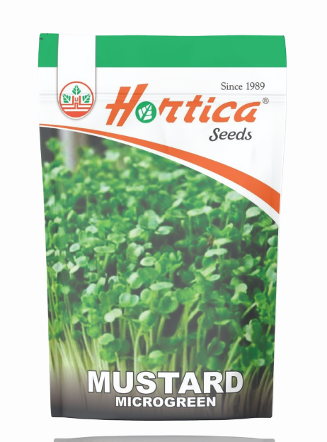 Microgreen Mustard