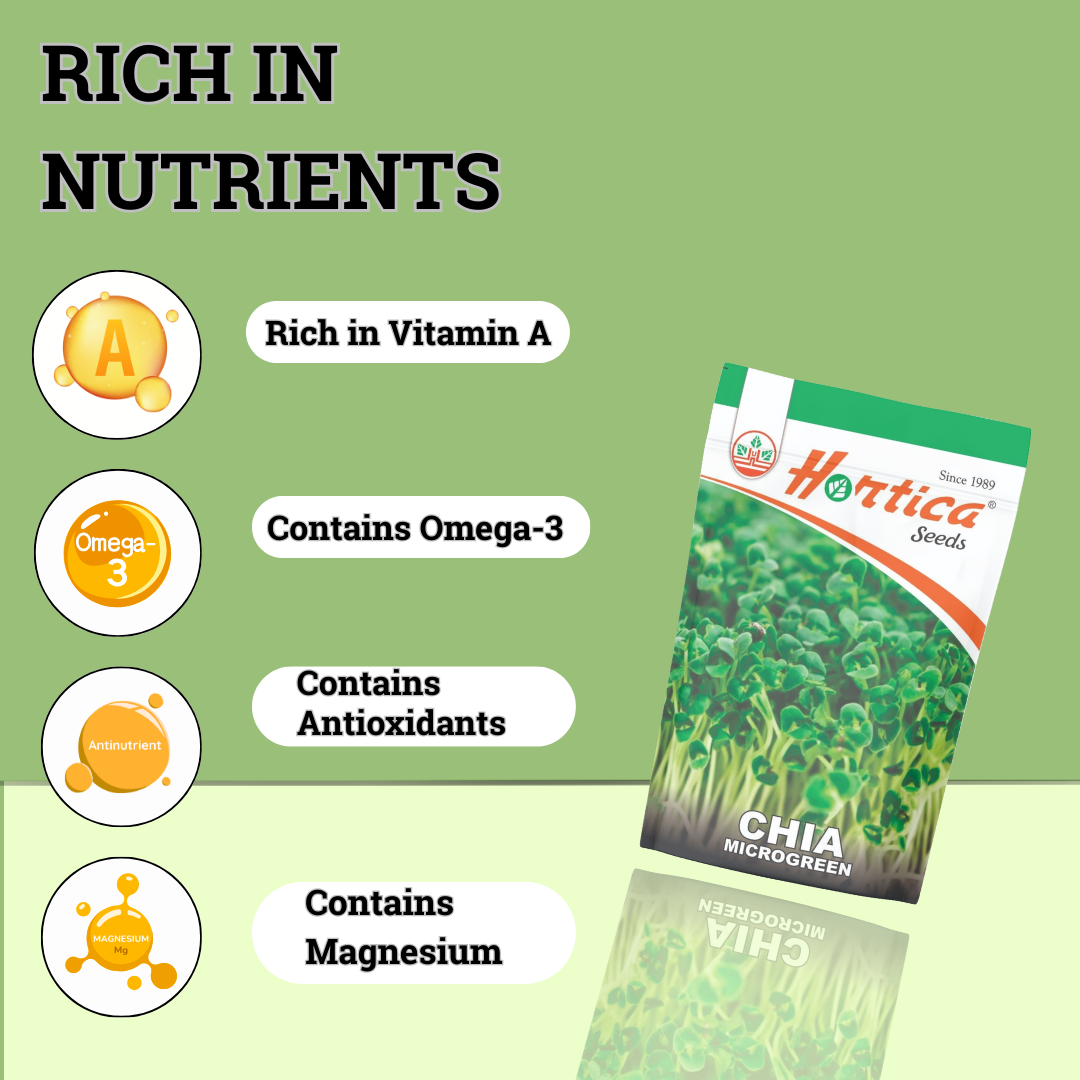 Microgreen Chia
