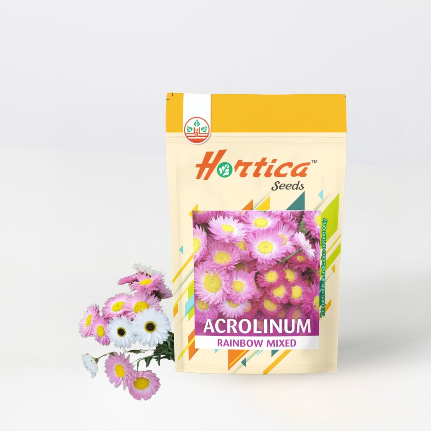 Acrolinum Rainbow Mixed