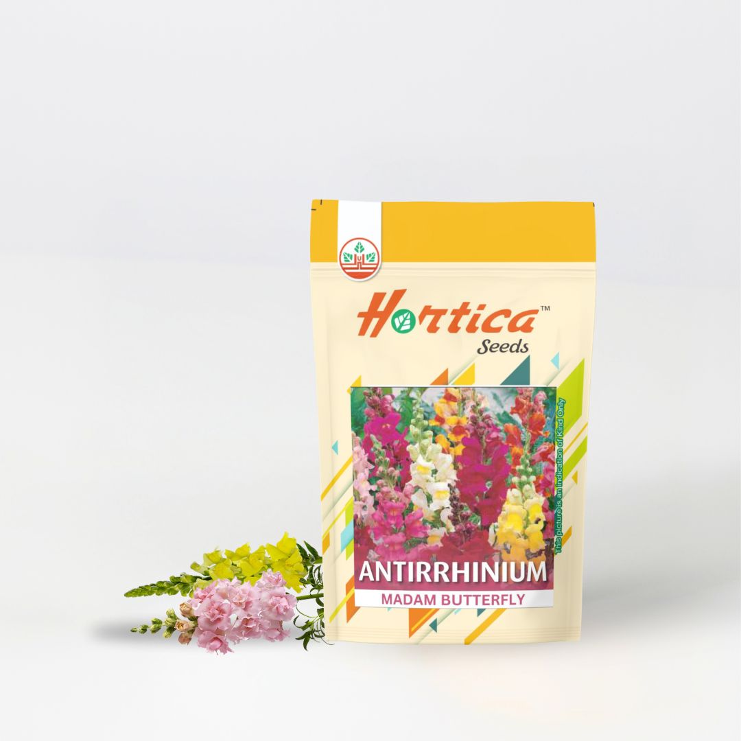 Antirrhinum Madam Butterfly Mix