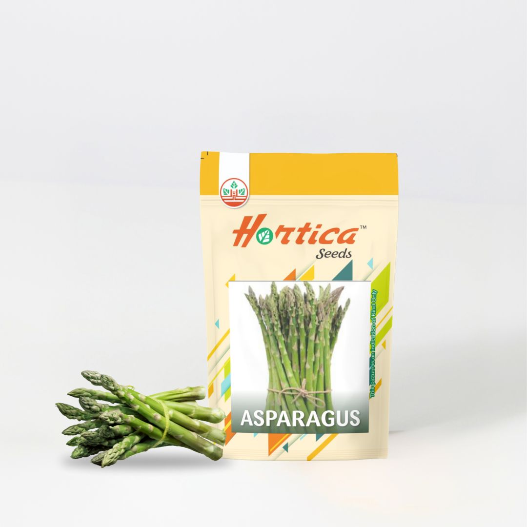 Asparagus