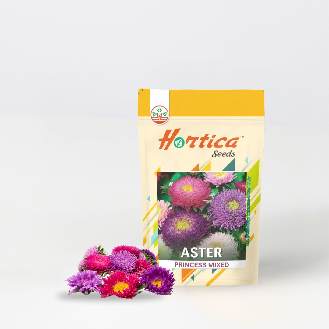 Aster Princess Mixed