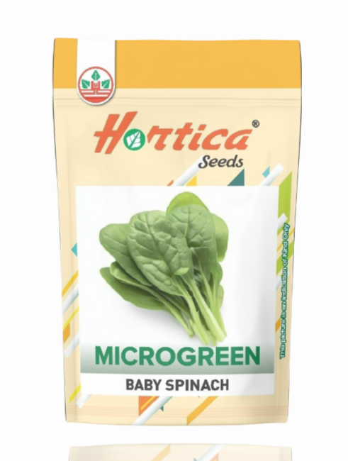 Baby Spinach Microgreen