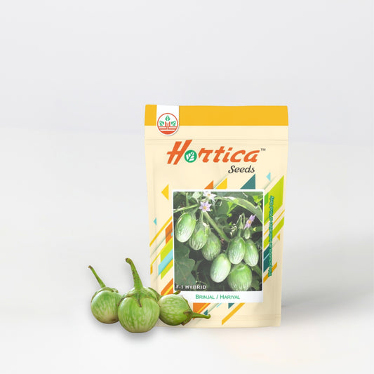 Brinjal Hariyal