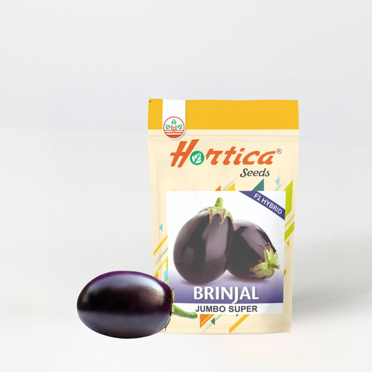 Brinjal Jumbo Super