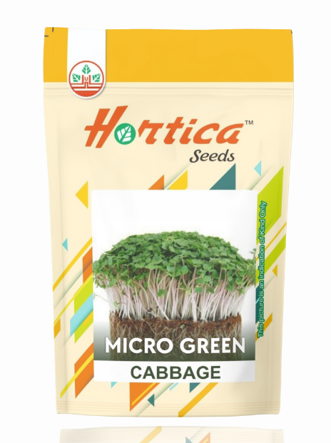 Microgreen Cabbage