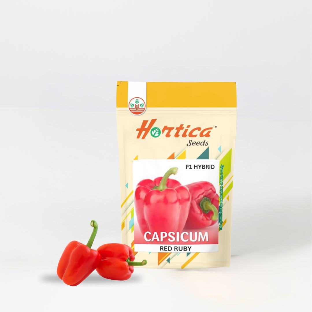 Capsicum Red