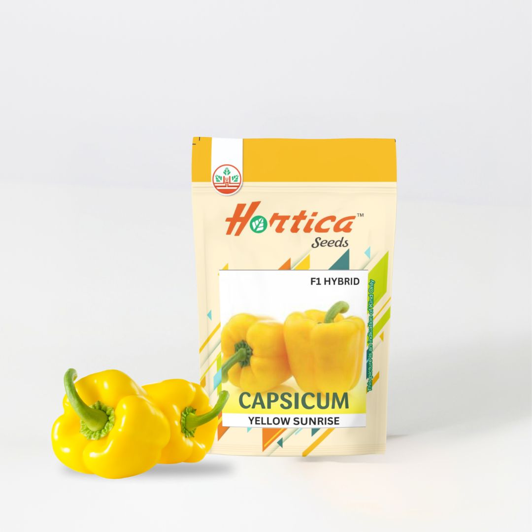 Capsicum Yellow